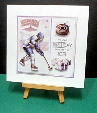 Lets Hit The Ice! by Benita Jenkinson