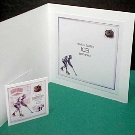 Lets Hit The Ice! by Benita Jenkinson