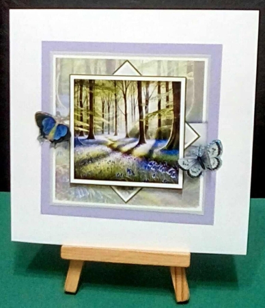 Bluebell Woods by Benita Jenkinson