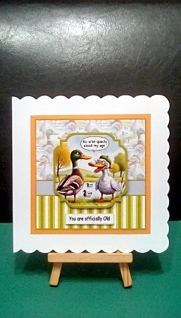male duck no wise quacks insert by Benita Jenkinson