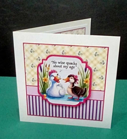 female duck no wise quacks by Benita Jenkinson
