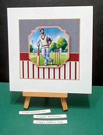 anyone for cricket insert by Benita Jenkinson