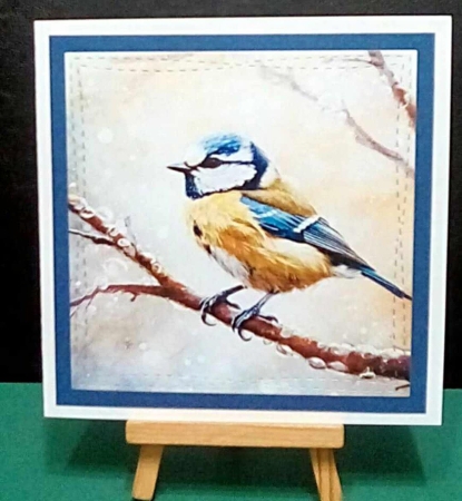 Garden Birds by Benita Jenkinson
