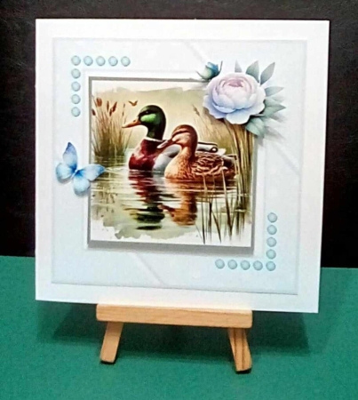 Delightful Ducks by Benita Jenkinson