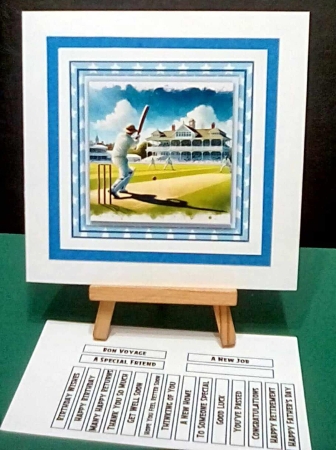 Saturday Afternoon Cricket by Benita Jenkinson