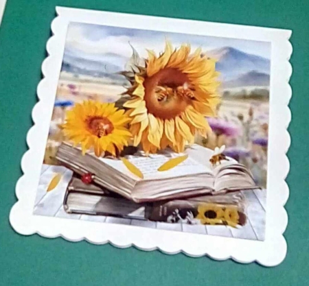 sunflower book by Benita Jenkinson