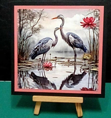 Lotus Pond by Benita Jenkinson