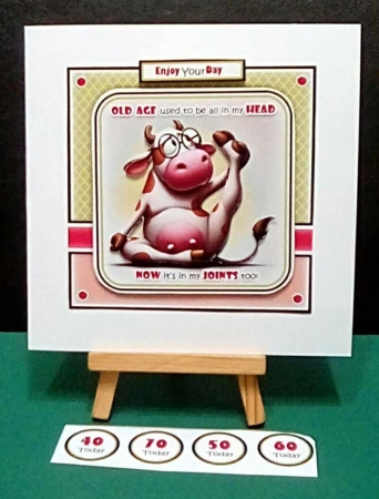 Old Joints Mini Kit by Benita Jenkinson