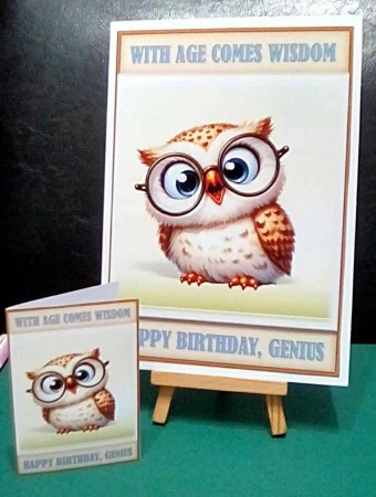 Wise Old Owl by Benita Jenkinson