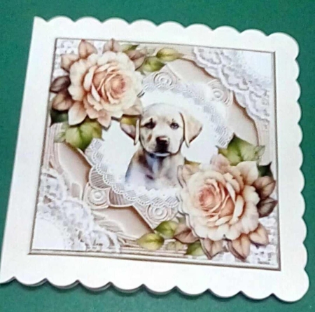 Beautiful Dog & Roses Mini Kit by Benita Jenkinson