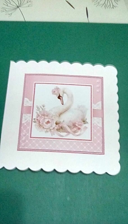 Graceful White Swan by Benita Jenkinson