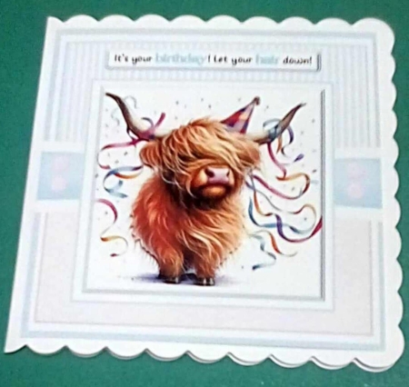 Let Your Hair Down by Benita Jenkinson