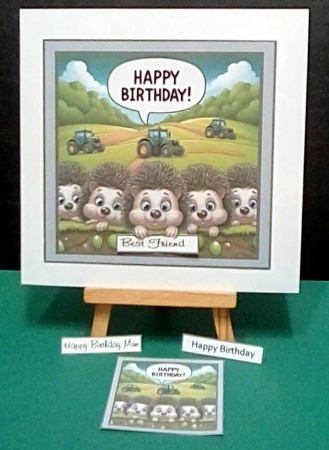 just hedgehogs by Benita Jenkinson