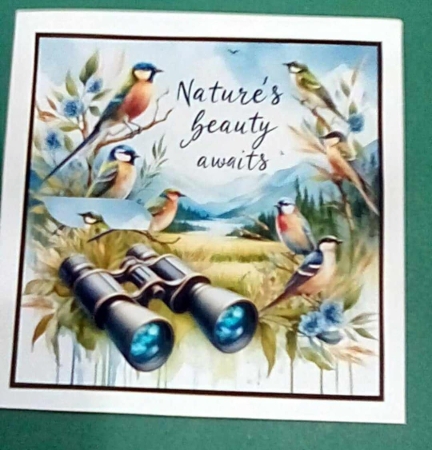 Bird watching by Benita Jenkinson