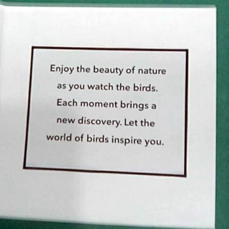Bird watching by Benita Jenkinson