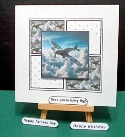 spitfire by Benita Jenkinson