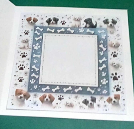 its a dogs life by Benita Jenkinson