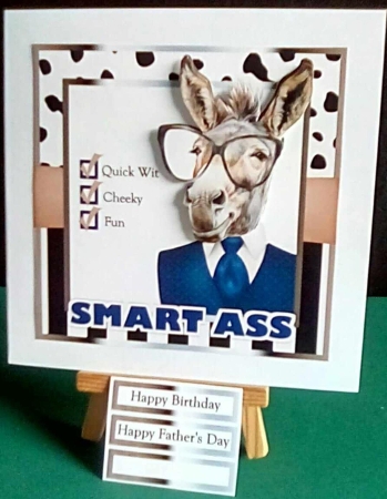 The Smart Ass by Benita Jenkinson
