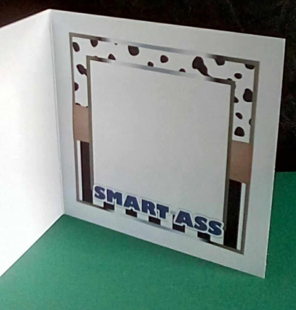 The Smart Ass by Benita Jenkinson