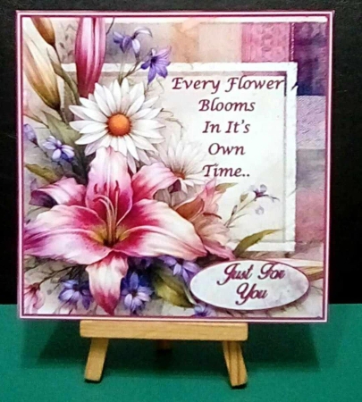 Every Flower Blooms Bundle   by Benita Jenkinson