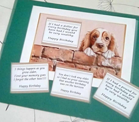 Cocker spaniel funny card by Benita Jenkinson