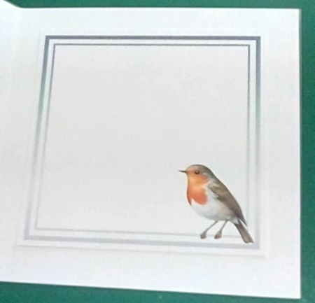 generic insert 1 for all my window cards by Benita Jenkinson