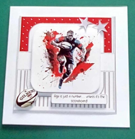The Rugby Star by Benita Jenkinson
