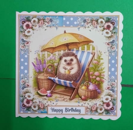 Hedgehog enjoys the sun by Benita Jenkinson