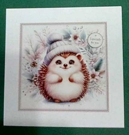 Little Winter Hedgehog by Benita Jenkinson