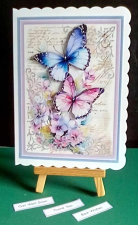Beautiful Butterfly Wishes 3 by Benita Jenkinson