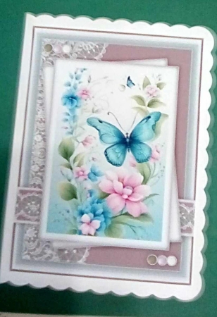 Blooming Beauty 3 by Benita Jenkinson