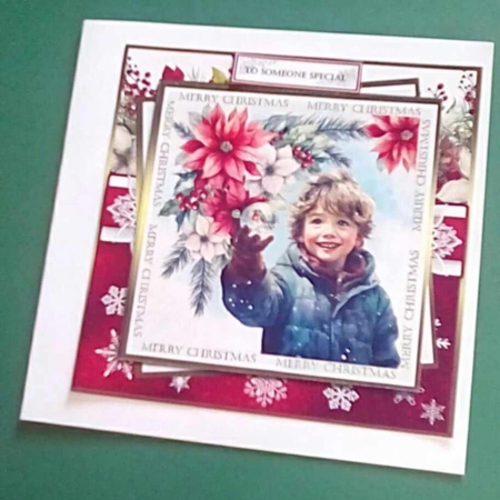 The Robin Snow globe by Benita Jenkinson