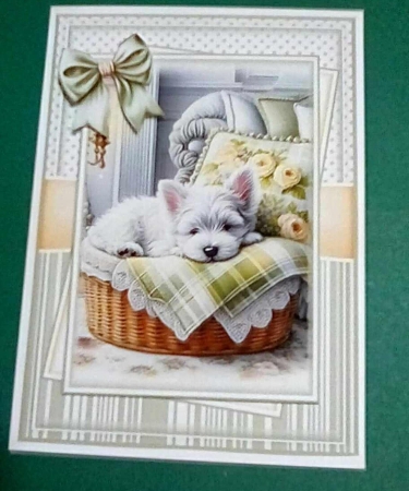 Cozy Westie Mini Kit With Set Of 3 Card Fronts by Benita Jenkinson