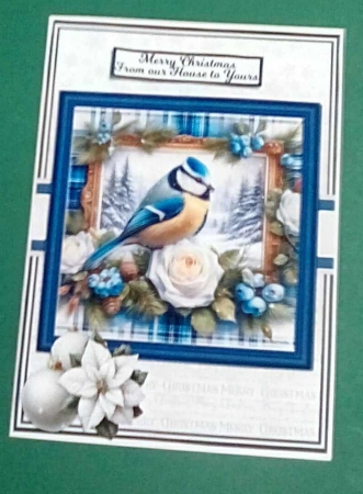 7x7 6x6 5x7 TARTAN BLUE TIT by Benita Jenkinson