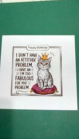 Funny 7x7 Topper Cat With Humour Caption (SILVER TWO) by Benita Jenkinson