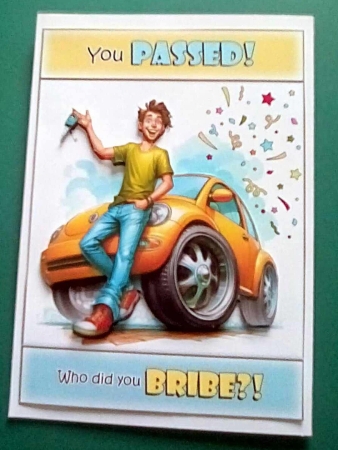 Passed Your Test! by Benita Jenkinson