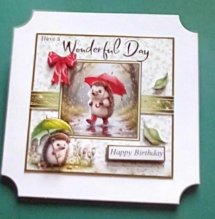 Rainyday Hedgehog Birthday by Benita Jenkinson