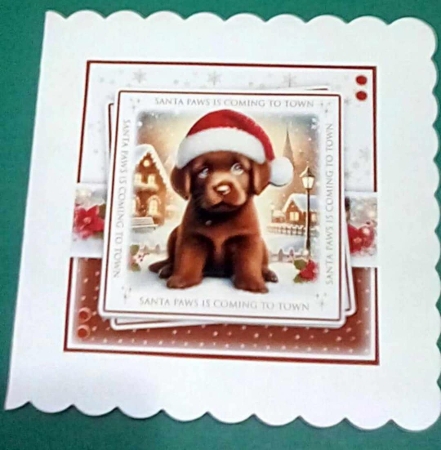 Santa Paws Chocolate Labrador Mini Kit by Benita Jenkinson