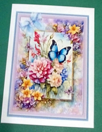 The Butterflies Garden by Benita Jenkinson