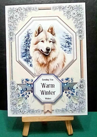 Wild Winter 17 by Benita Jenkinson