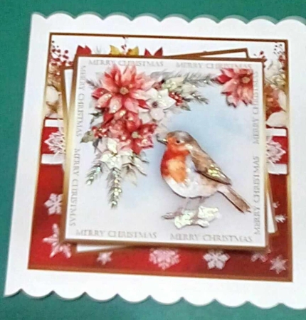 A Winter Robin by Benita Jenkinson