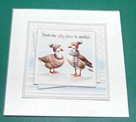 Silly Goose by Benita Jenkinson