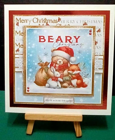 set of 6 Christmas is coming 8x8 card fronts and sentiments by Benita Jenkinson