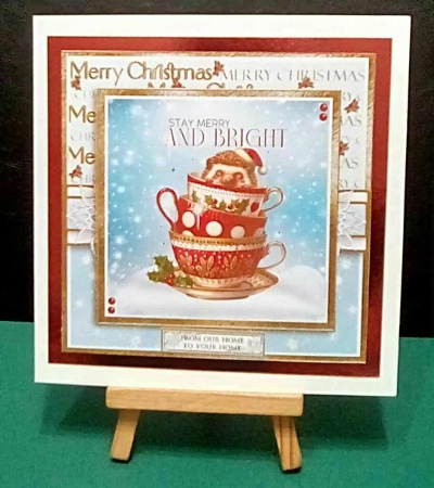 set of 6 Christmas is coming 8x8 card fronts and sentiments by Benita Jenkinson