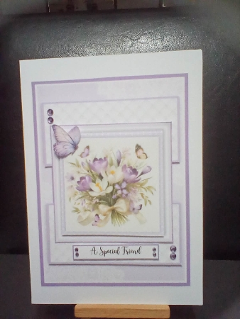 cup1424425_118824 - Clusters of Beautiful Crocus - 5x7 Version