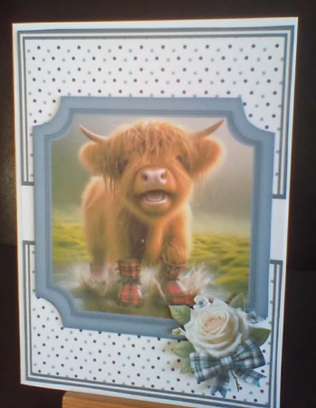 HAPPY HIGHLANDS 5x7 6x6 by Benita Jenkinson