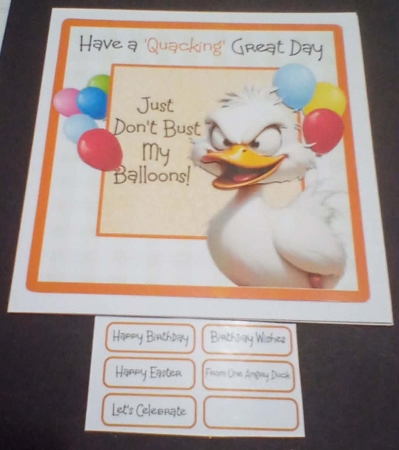 Quacking Birthday by Benita Jenkinson