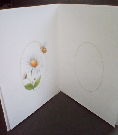 Spring daisies choice of four 7x7 & A5 mini kit by Benita Jenkinson