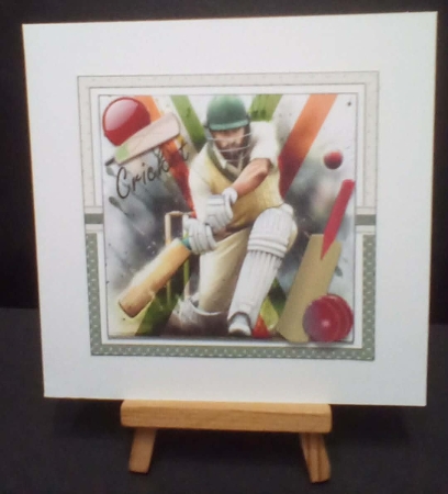 7x7 Lets play cricket choice of four mini kit by Benita Jenkinson