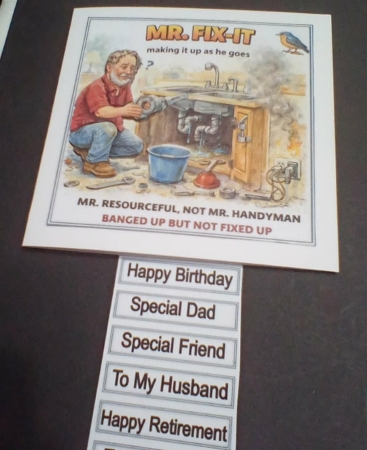Mr Fix It Mini Kit  by Benita Jenkinson